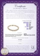 Certificado de producto: W-AA-657-B-Akoy