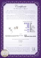 product certificate: W-AA-67-E