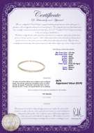 Certificado de producto: W-AAA-556-N