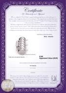 Certificado de producto: W-Alloy-TRP-Clasp-Leeds