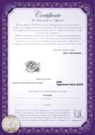 Certificado de producto: W-Brass-DBL-Clasp-Lisbon