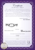 Certificado de producto: W-SS-Ebba-Clasp