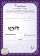 product certificate: W-SS-Matilda-Clasp