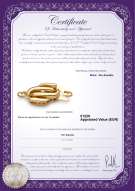 Certificado de producto: Y-14k-Fishhook-clasp-WMinster