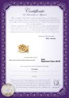 Certificado de producto: Y-Alloy-DBL-Round-Clasp-Nala