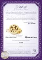 Certificado de producto: Y-Alloy-round-clasp-Siena