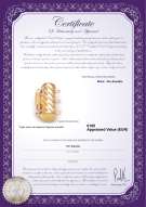 Certificado de producto: Y-Alloy-TRP-Clasp-Ohio