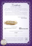 Certificado de producto: YW-14K-Fishhook-Clasp-Cbury