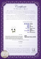product certificate: ZFED-9-MGRN
