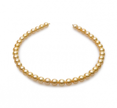 9-11.4mm AA Quality Mar del Sur Collar in 18 pulgadas Oro