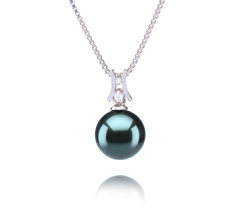 Colgante de perlas Perla Tahití de calidad AAA de 9 a 10mm en color Negro