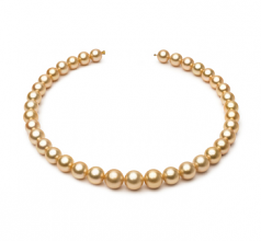 10.4-13.2mm AAA Quality Mar del Sur Collar in 18 pulgadas Oro