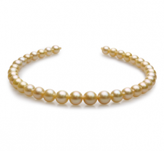 Collar de perlas Mar del Sur de calidad AAA de 10 a 13.5mm en color Oro