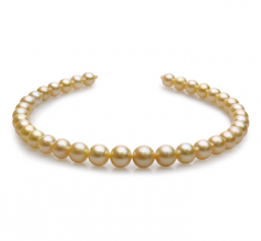 10-13.5mm AAA Quality Mar del Sur Collar in 18 pulgadas Oro