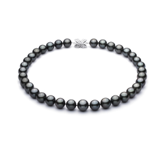 Collar de perlas Perla Tahití de calidad AA+ de 11 a 13.5mm en color Negro