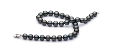 Collar de perlas Perla Tahití de calidad AA+ de 11 a 13.5mm en color Negro