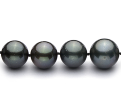 Collar de perlas Perla Tahití de calidad AA+ de 11 a 13.5mm en color Negro