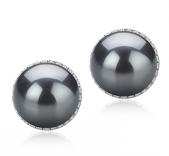 10-11mm AAA Quality Perla Tahití Pendientes in Tammy Negro