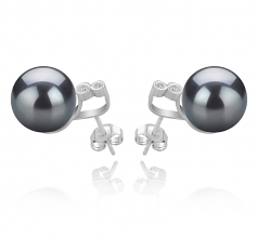 10-11mm AAA Quality Perla Tahití Pendientes in Hailey Negro