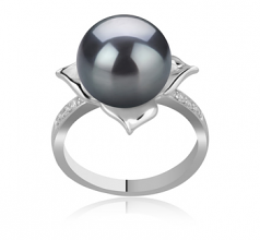 10-11mm AAA Quality Perla Tahití Anillo in Billy Negro