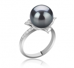 10-11mm AAA Quality Perla Tahití Anillo in Billy Negro