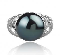 12-13mm AA Quality Perla Tahití Anillo in Alva Negro