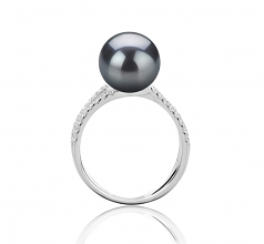 9-10mm AAA Quality Perla Tahití Anillo in Zana Negro