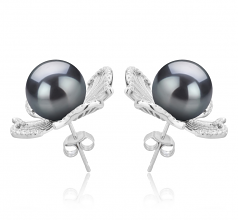 10-11mm AAA Quality Perla Tahití Pendientes in Abigail Negro