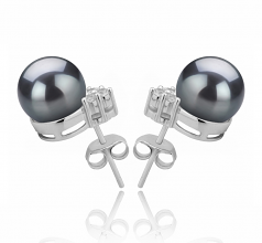 8-9mm AAAA Quality Perla de Agua Dulce Pendientes in Evelyn Negro