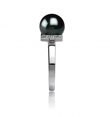 Anillo de perlas Perla Akoya Japonesa de calidad AA de 8 a 9mm en color Negro