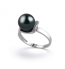 Anillo de perlas Perla Akoya Japonesa de calidad AA de 8 a 9mm en color Negro