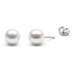 8-8.5mm AAAA Quality Perla de Agua Dulce Pendientes in Blanco