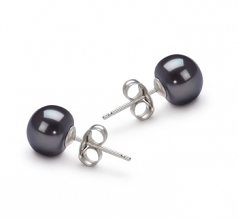 7-8mm AA Quality Perla de Agua Dulce Pendientes in Negro