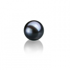 7-8mm AAAA Quality Perla de Agua Dulce Perla Suelta in Negro