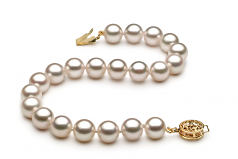 7.5-8mm AA Quality Perla Akoya Japonesa Pulsera in Blanco