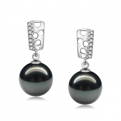 9-10mm AAA Quality Perla Tahití Pendientes in Zuella Pearl Negro