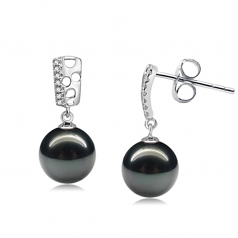 9-10mm AAA Quality Perla Tahití Pendientes in Zuella Pearl Negro