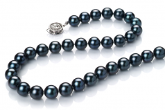 Collar de perlas Perla Akoya Japonesa de calidad AAA de 7.5 a 8mm en color Negro