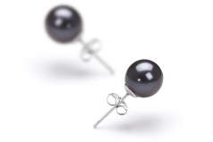Par de pendientes de perlas Perla de Agua Dulce de calidad AAAA de 7 a 8mm en color Negro
