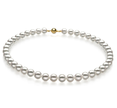 Collar de perlas Perla Akoya Japonesa de calidad Hanadama - AAAA de 8.5 a 9mm en color Blanco