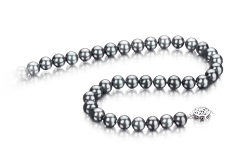 7-7.5mm AAA Quality Perla Akoya Japonesa Collar in Negro-Plata