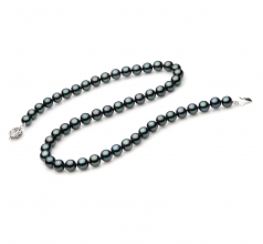 Collar de perlas Perla Akoya Japonesa de calidad AAA de 7 a 7.5mm en color Negro