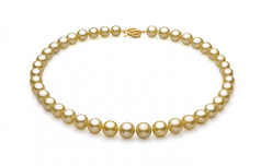 9-11.8mm AAA Quality Mar del Sur Collar in Oro