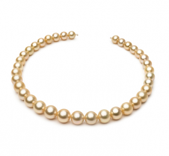 10-13.3mm AAA Quality Mar del Sur Collar in 18 pulgadas Oro