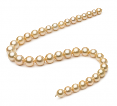 10-13.3mm AAA Quality Mar del Sur Collar in 18 pulgadas Oro