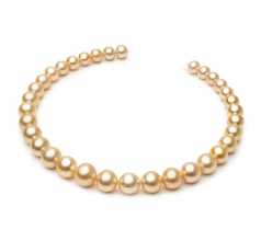 Collar de perlas Mar del Sur de calidad AA de 10.1 a 14.6mm en color Oro