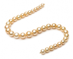 Collar de perlas Mar del Sur de calidad AA de 10.1 a 14.6mm en color Oro