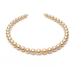 9.6-12.6mm AA+ Quality Mar del Sur Collar in 18 pulgadas Oro