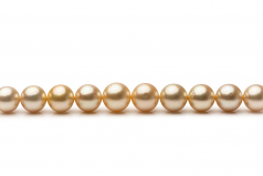 9.3-13.3mm AA Quality Mar del Sur Collar in 18 pulgadas Oro