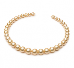 9.7-13.9mm AA Quality Mar del Sur Collar in 18 pulgadas Oro